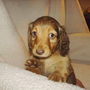 Meet your Posher, Evette